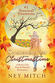 Considerations Near Christmastime by Ney Mitch