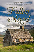 Fallen Angel (MacCormac Warriors #2) by LuAnn Nies